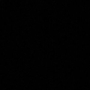 Meet your Posher, Joey